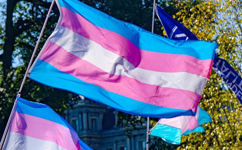 photo of the trans pride flag waving in the wind